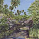 <Juniper Springs VI>