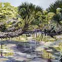 <Juniper Springs XIII>