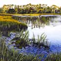 <Marsh Series 1>